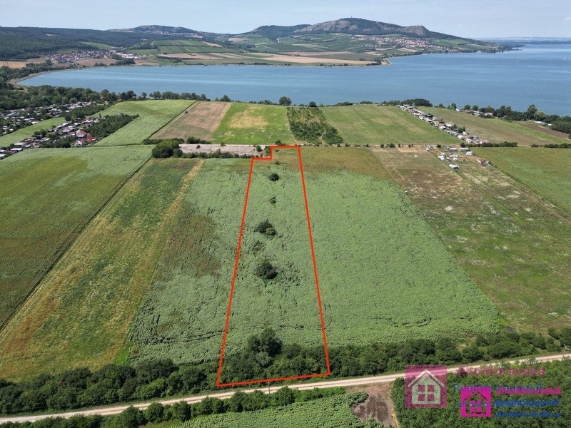 Prodej zemědělská půda, 17 804 m² - Přítluky - Nové Mlýny