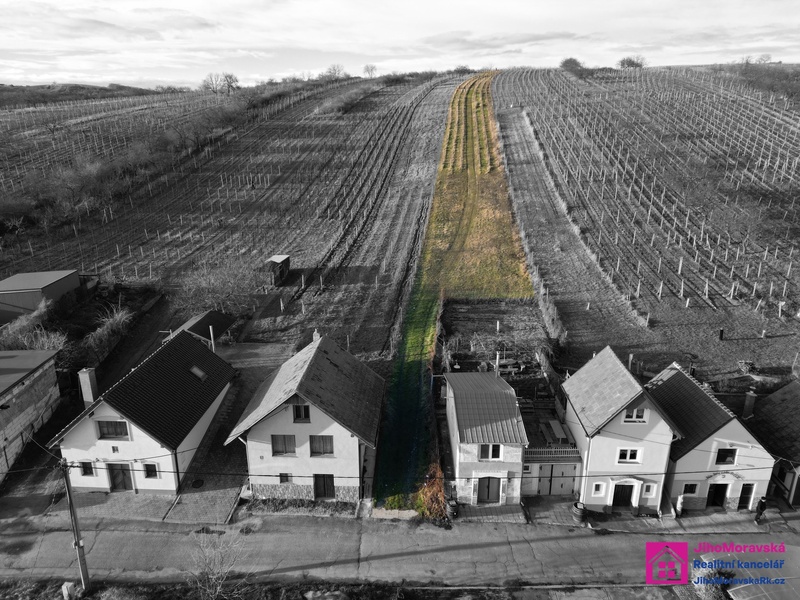 Prodej vinice 2 567 m², Bořetice - Kraví hora